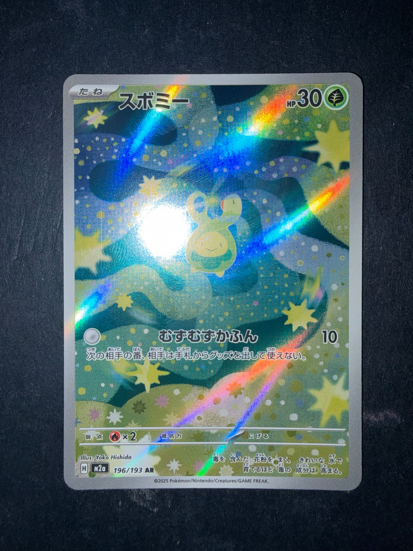 Budew 196/193