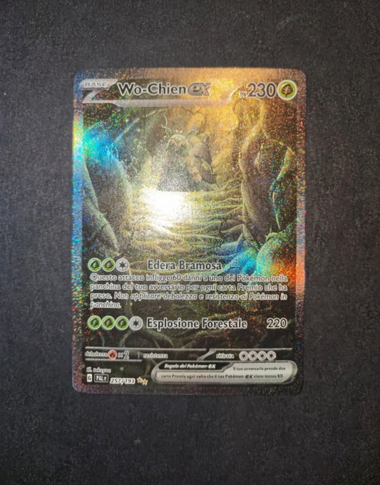 Lotto carte Pokémon