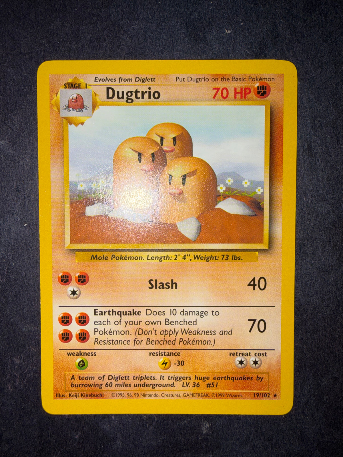 Dugtrio 19/102