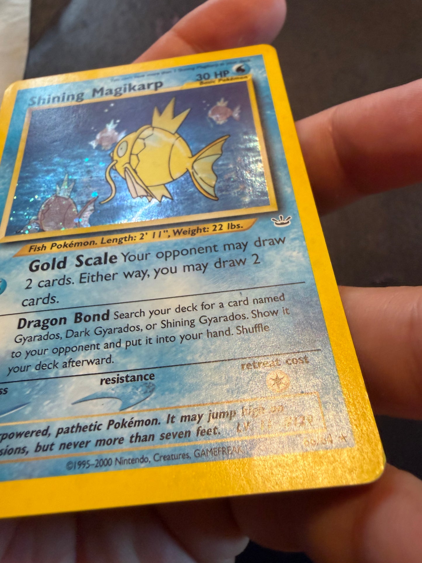 Shining Magikarp 66/64