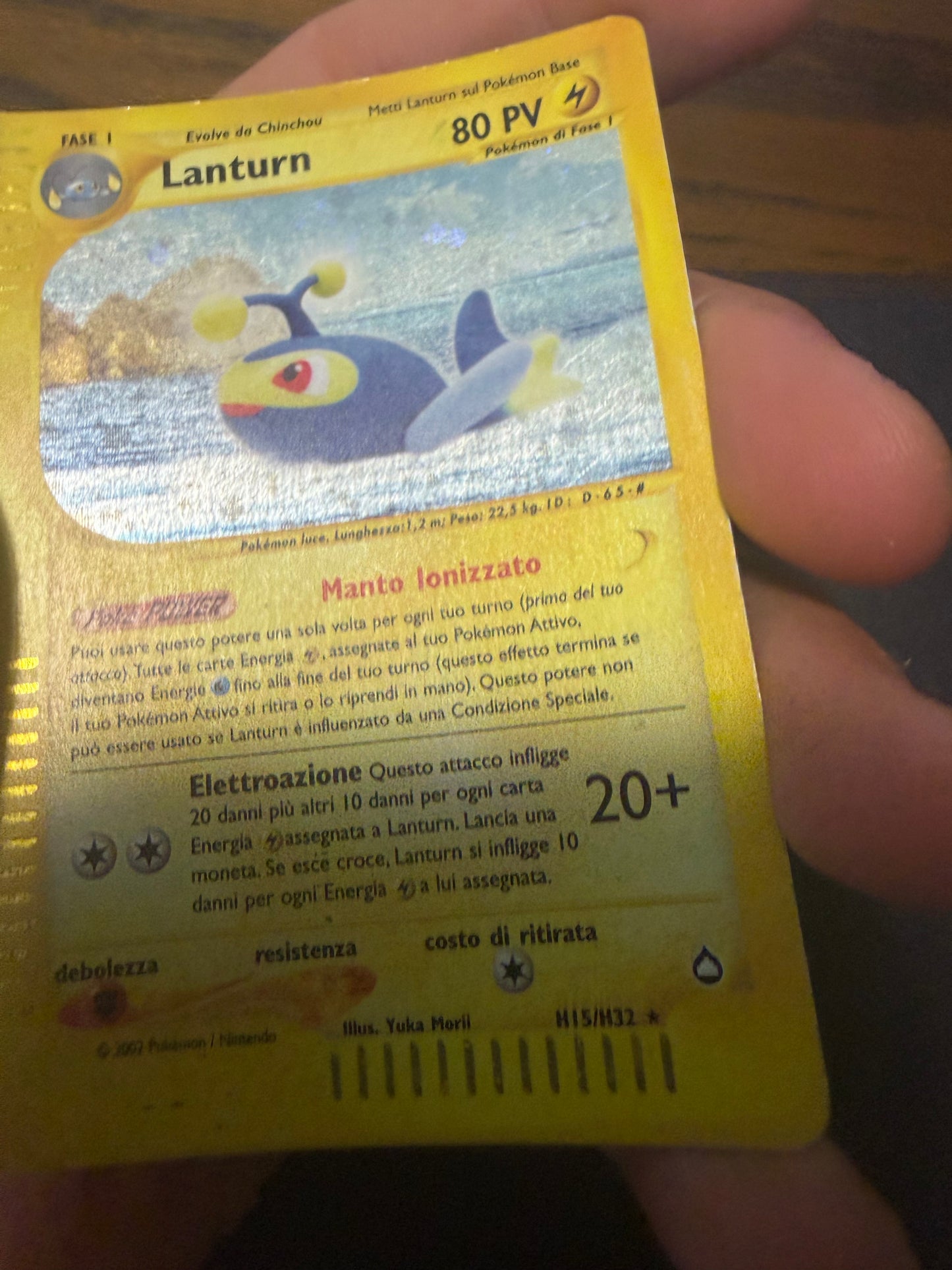 Lanturn (Holo Rare | H15/H32)