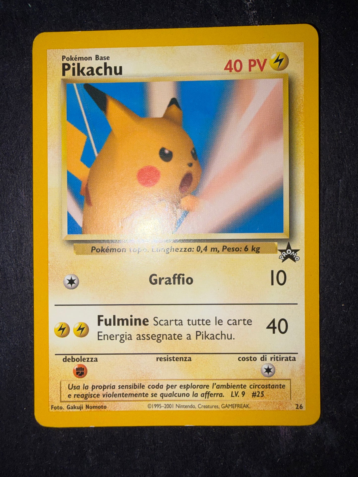 Pikachu 26