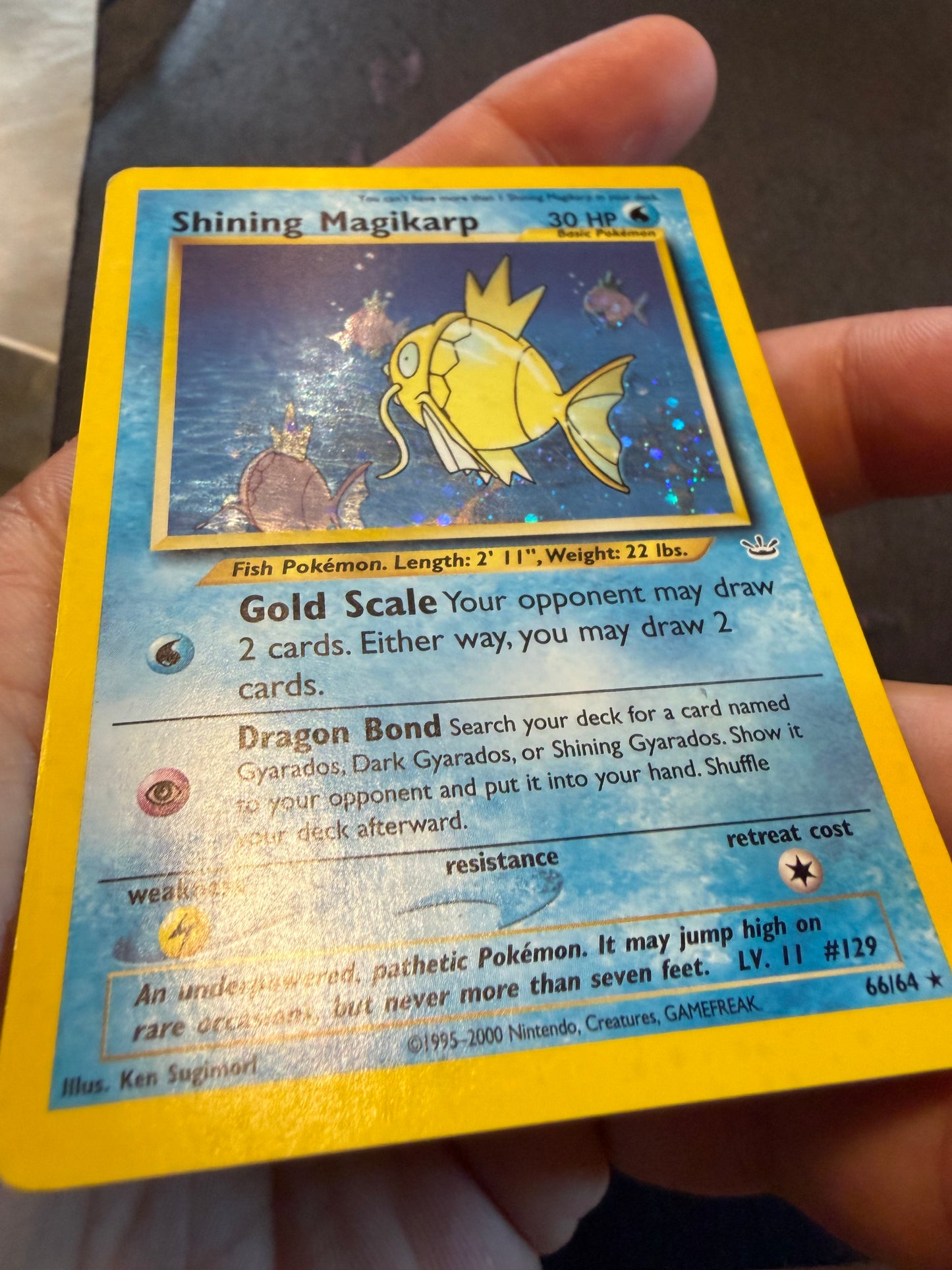 Shining Magikarp 66/64