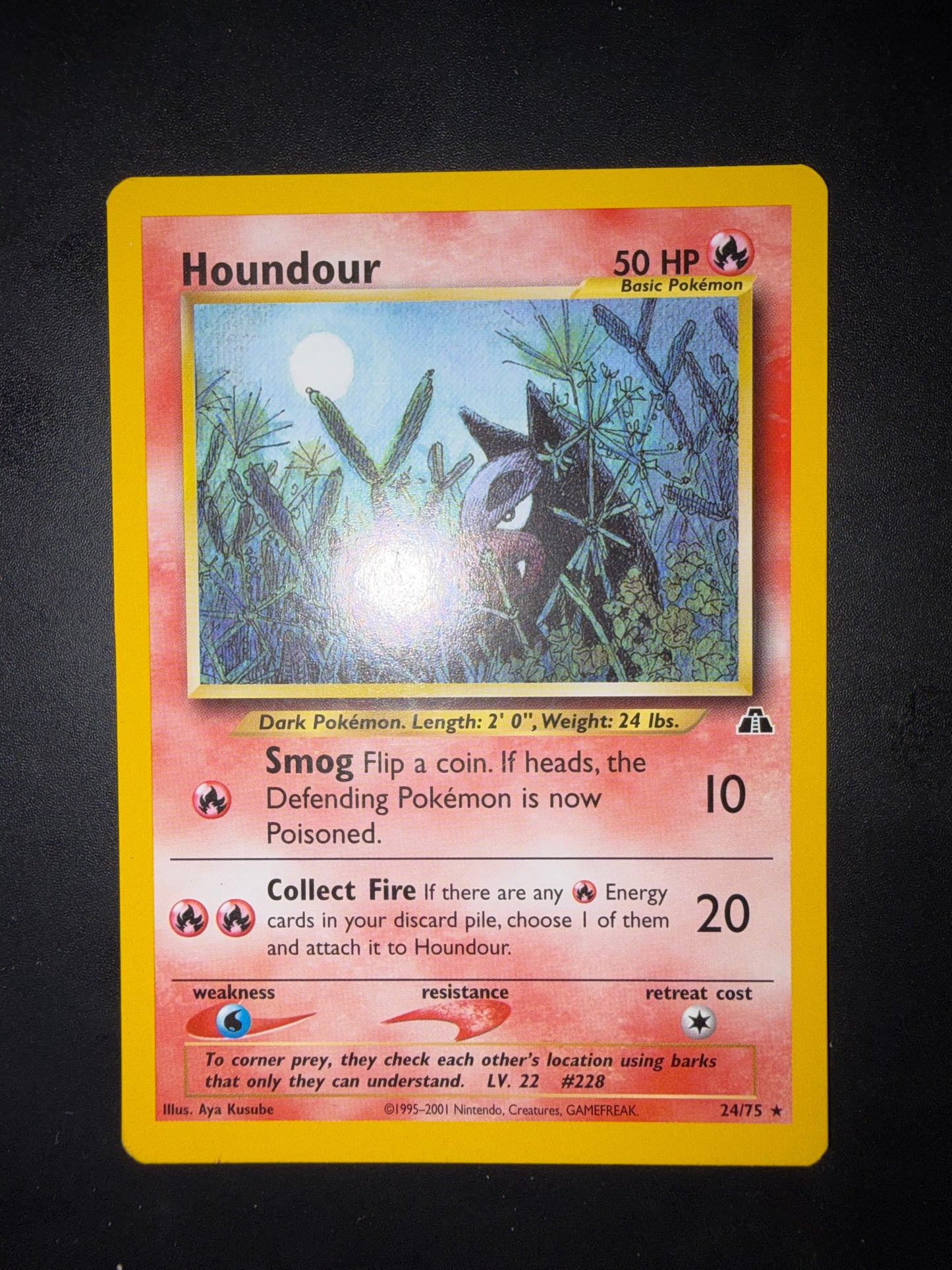 Houndour 24/75
