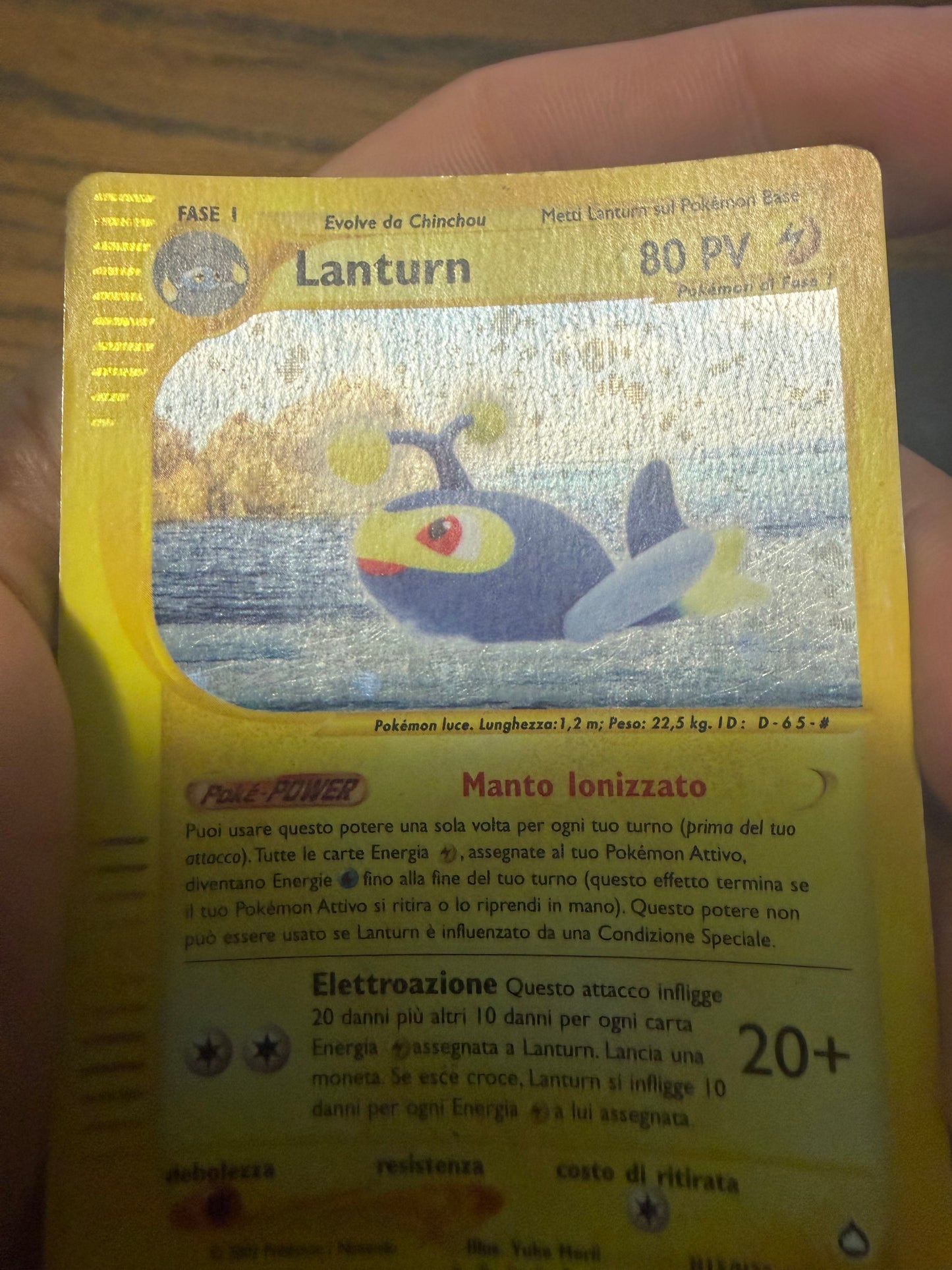 Lanturn (Holo Rare | H15/H32)