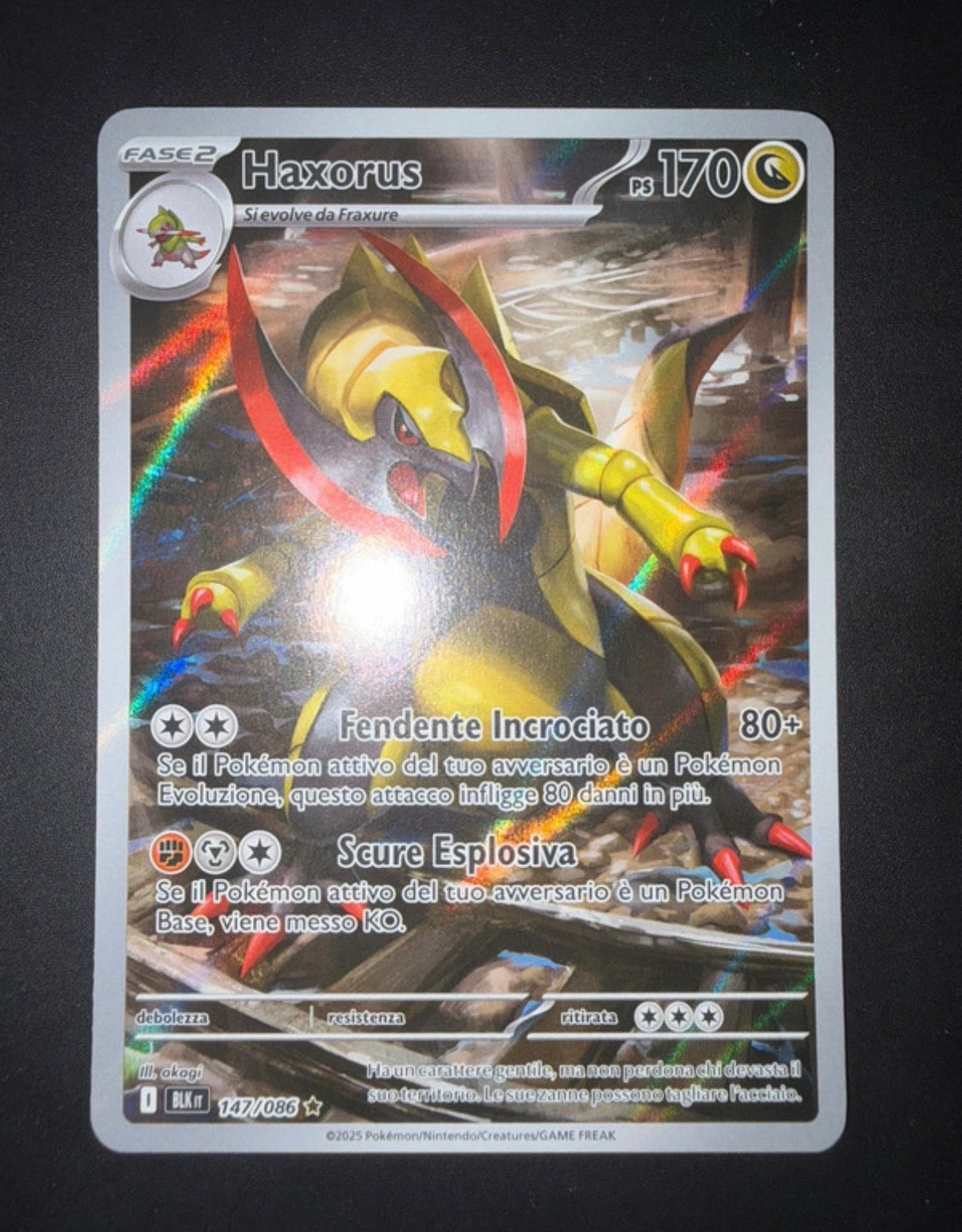 Lotto carte Pokémon Samuele