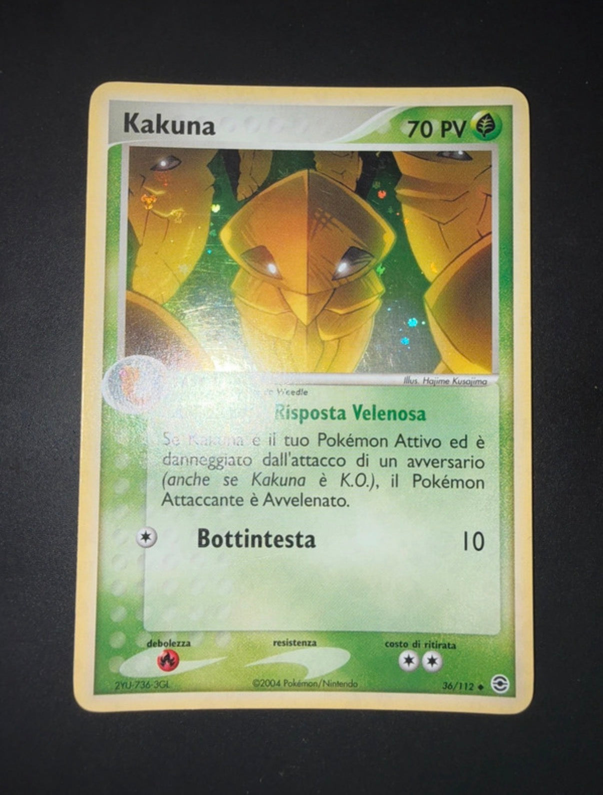 Lotto Pokemon