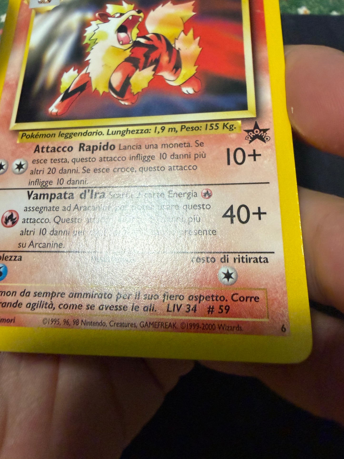 Arcanine 6