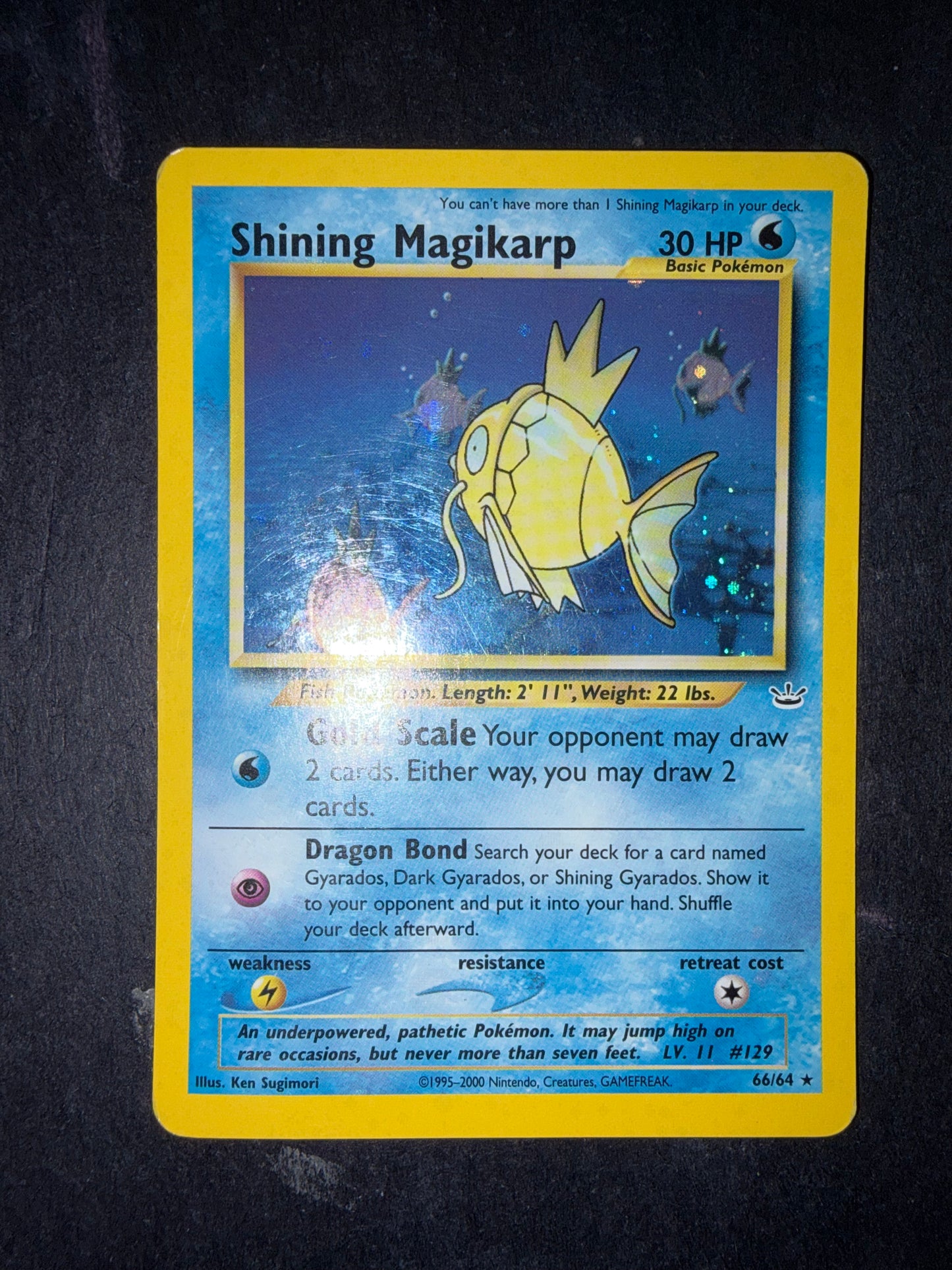 Shining Magikarp 66/64
