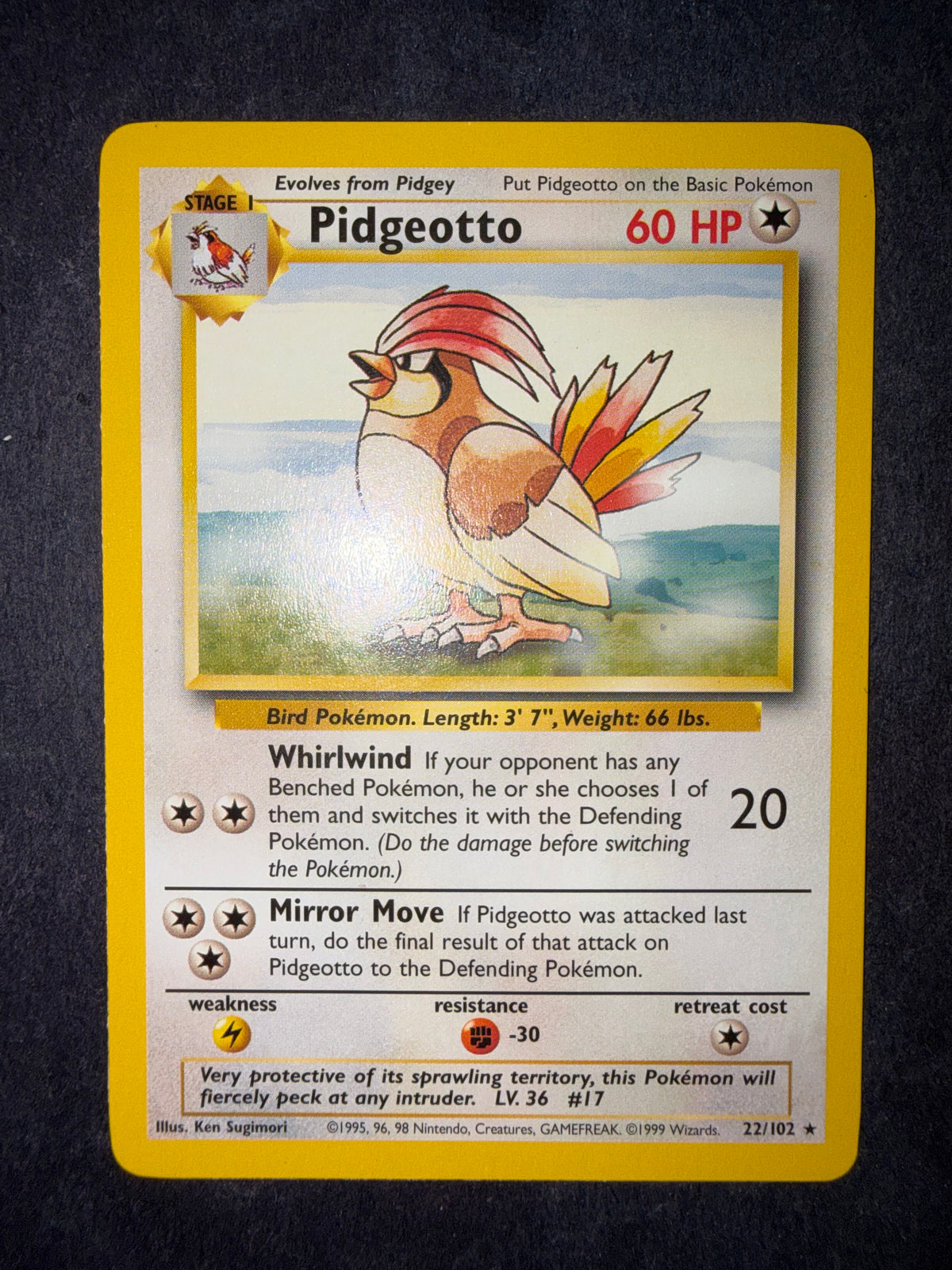 Pidgeotto 22/102
