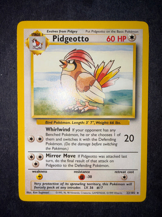Pidgeotto 22/102
