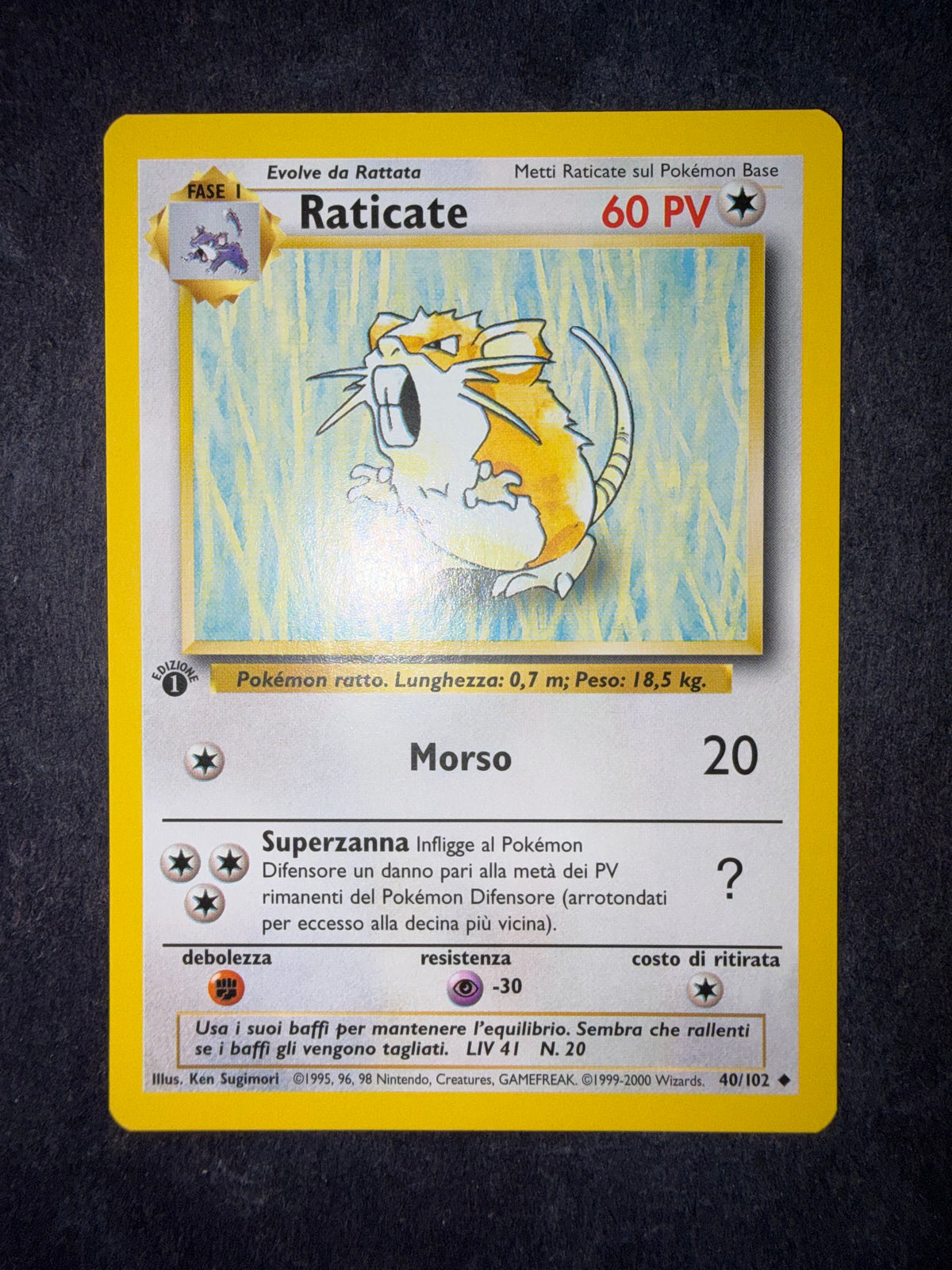 Raticate 40/102 1º edizione