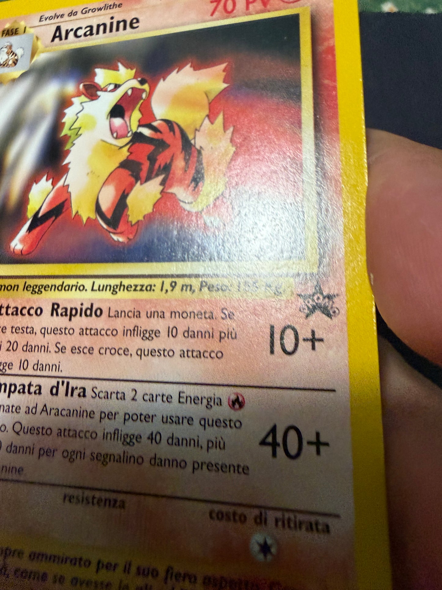 Arcanine 6