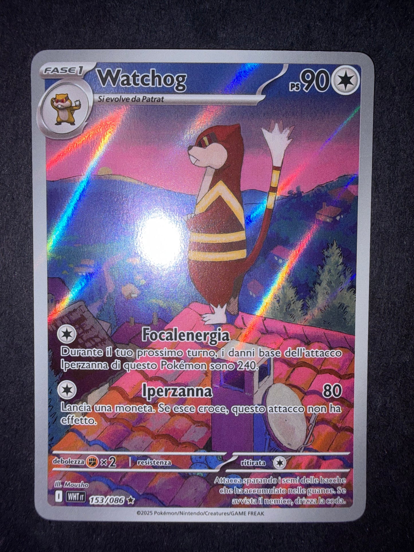 Watchog 153/086