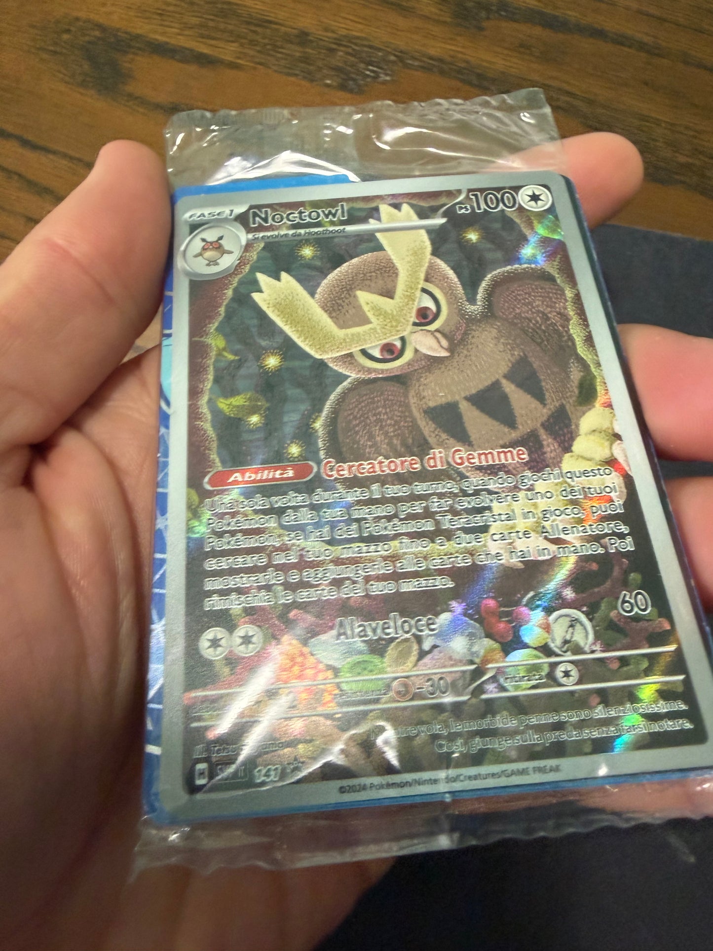 Noctowl(SVP 141)