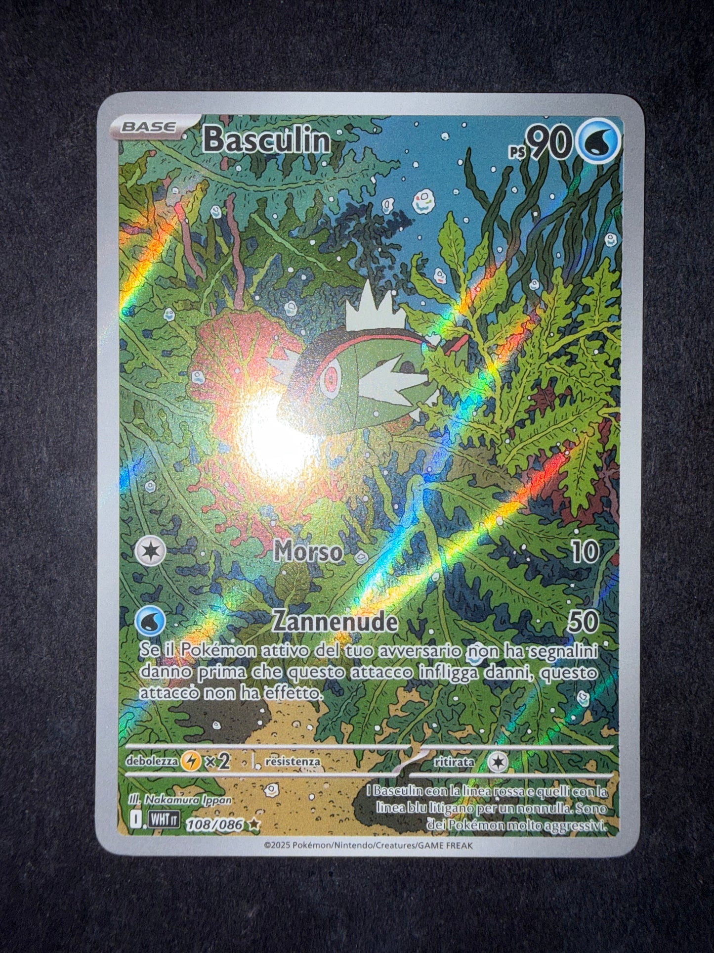 Basculin 108/086