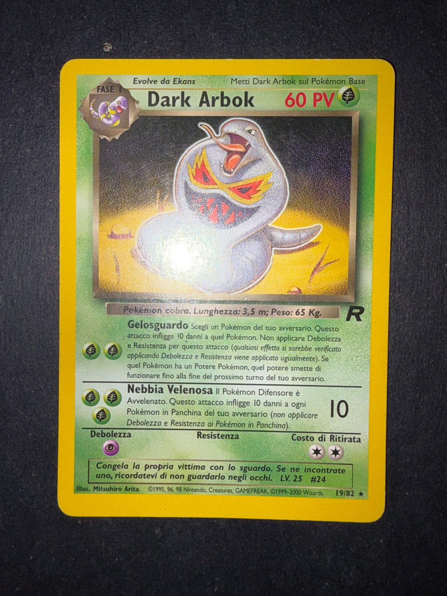 Dark arbok 19/82