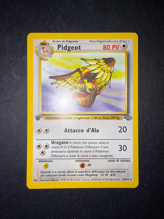 Pidgeot 24/64 1 edizione