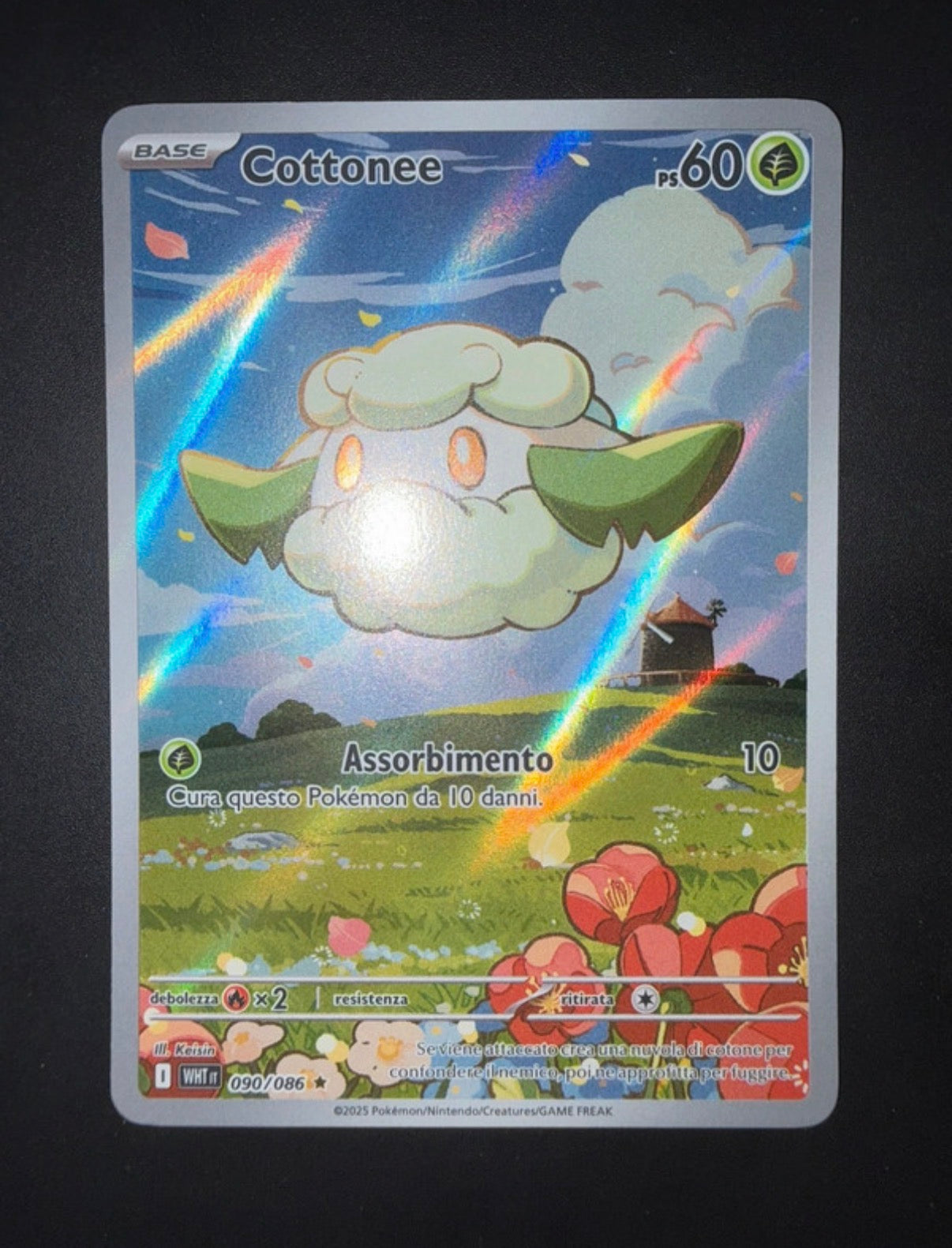 Lotto carte Pokémon Samuele
