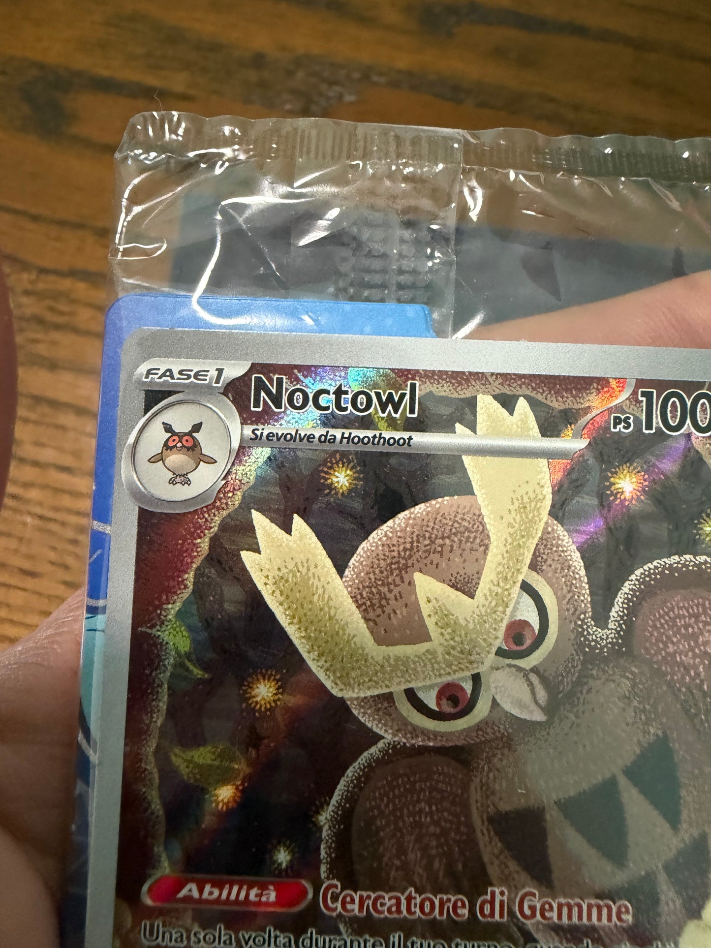 Noctowl(SVP 141)