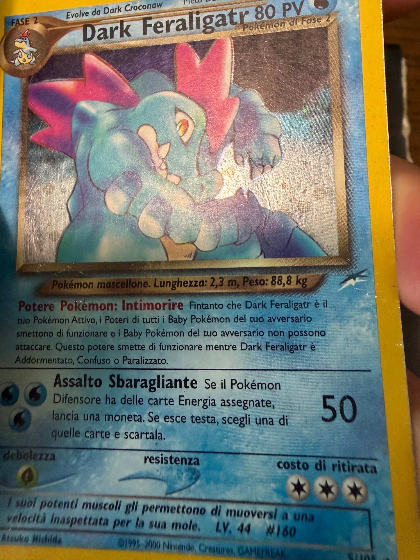 Dark feraligatr 5/105