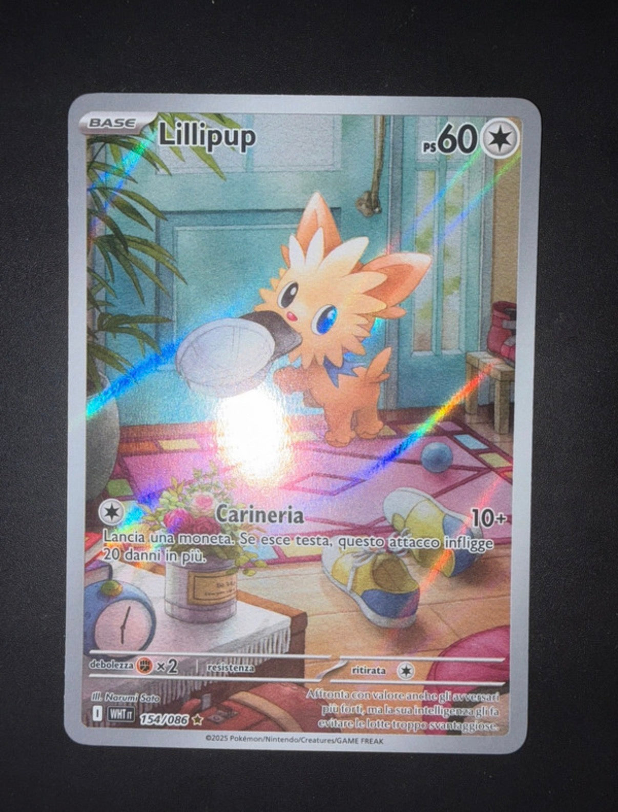 Lotto carte Pokémon