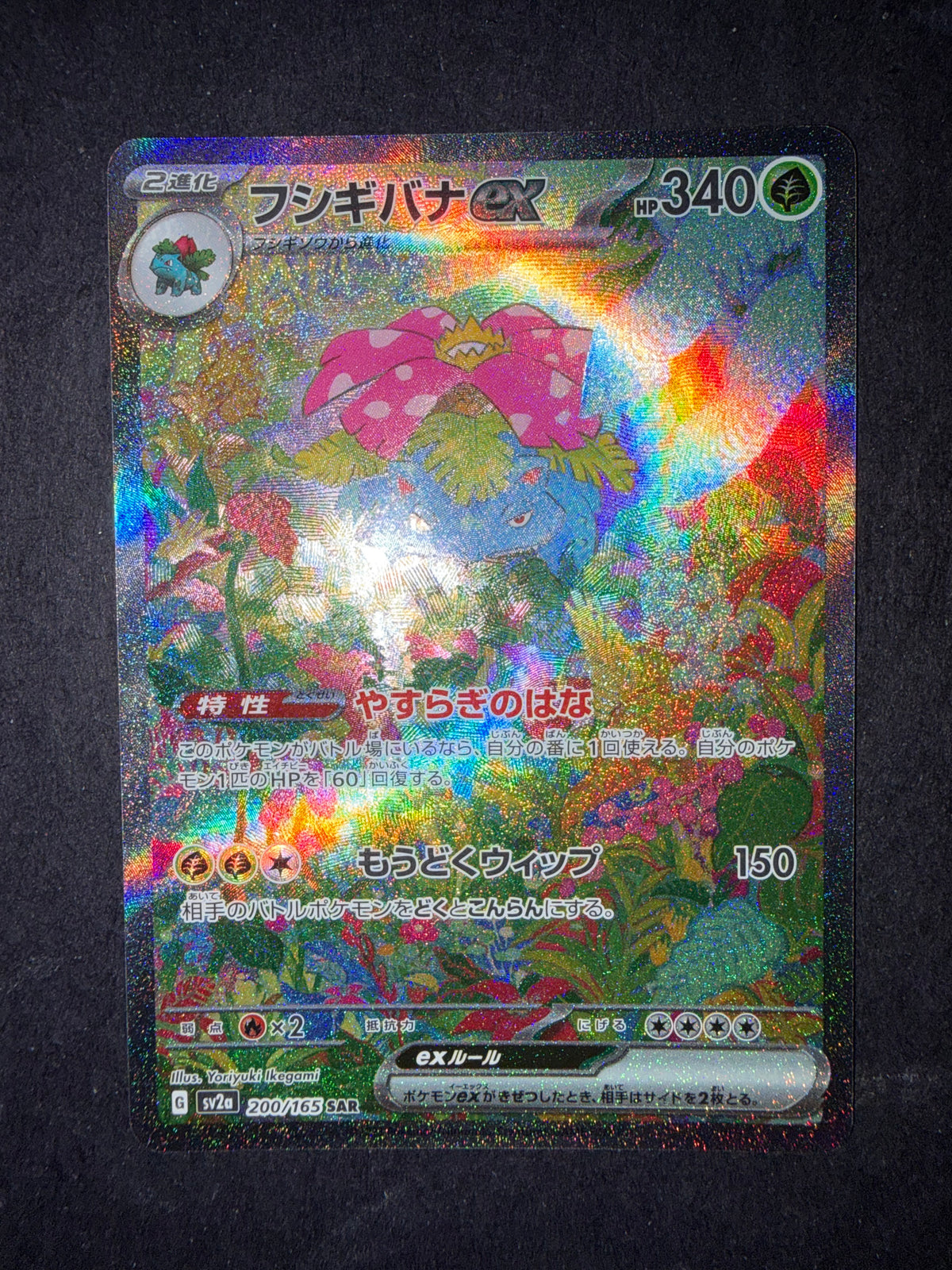 Blastoise e Venusaur Jap 151