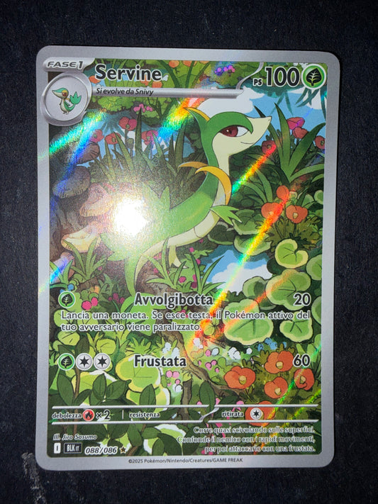 Servine(Illustration Rare | 088/086)