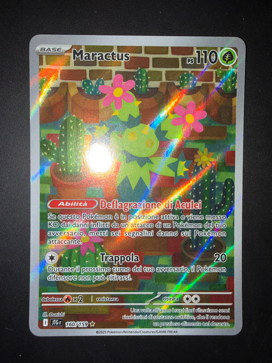 Maractus 160/159