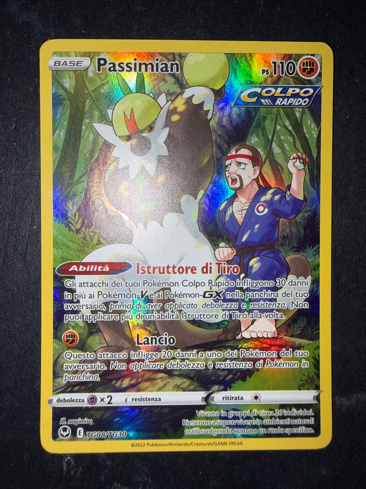 Passimian (Holo Rare | TG08/TG30)