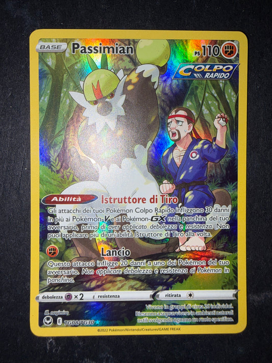 Passimian (Holo Rare | TG08/TG30)