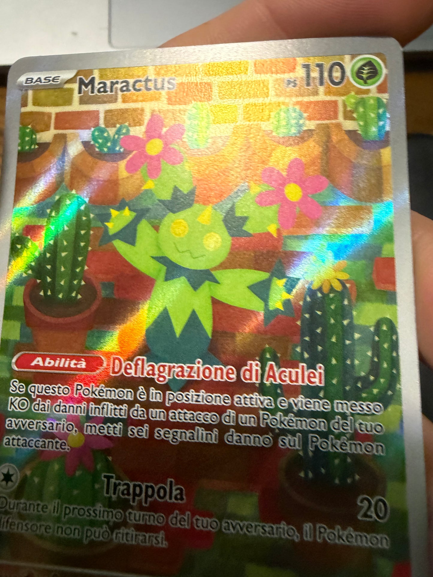 Maractus 160/159