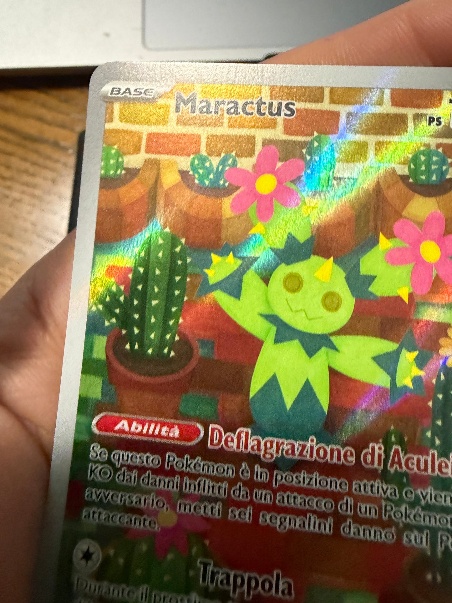 Maractus 160/159
