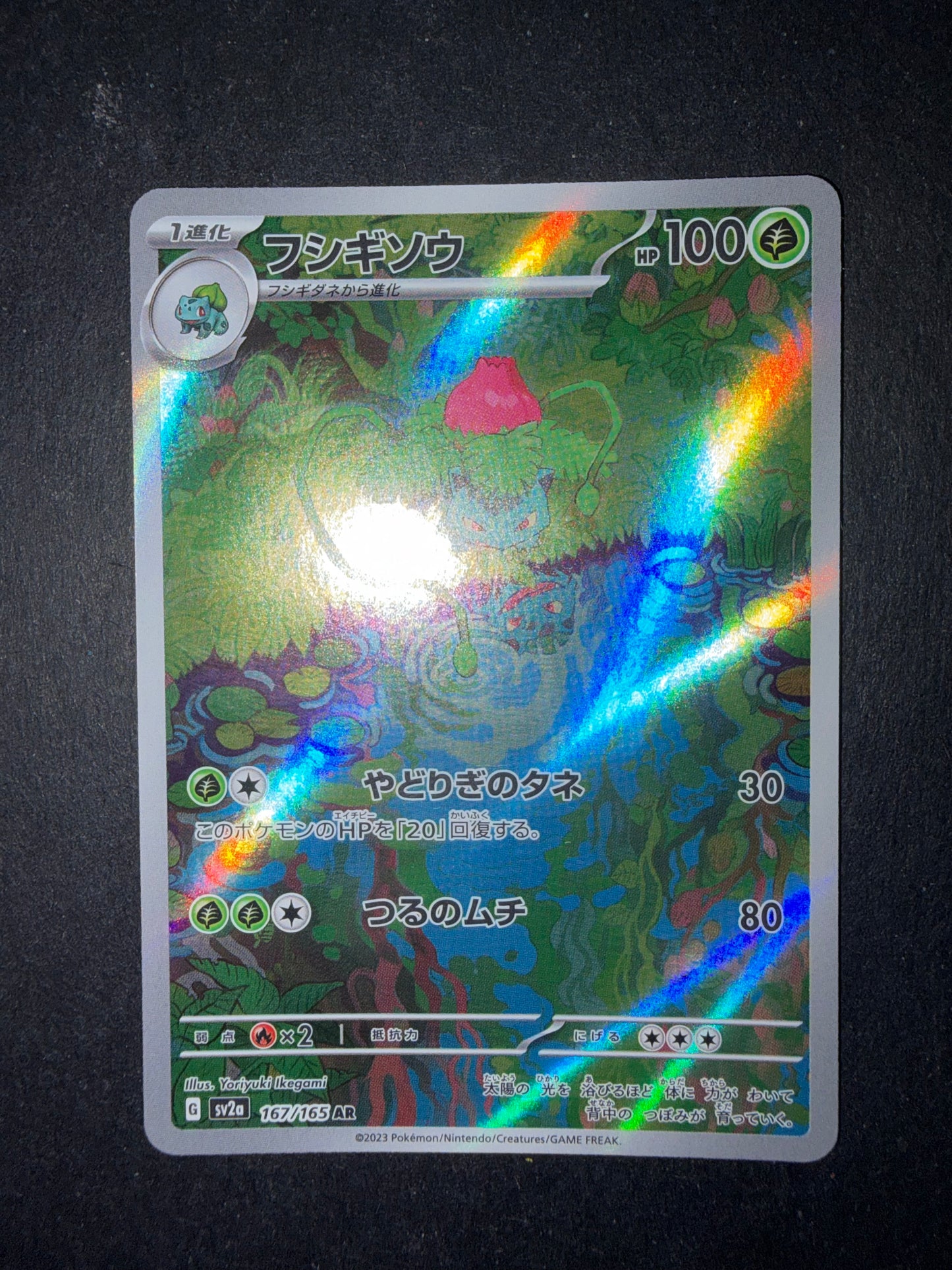 Ivysaur 167/165