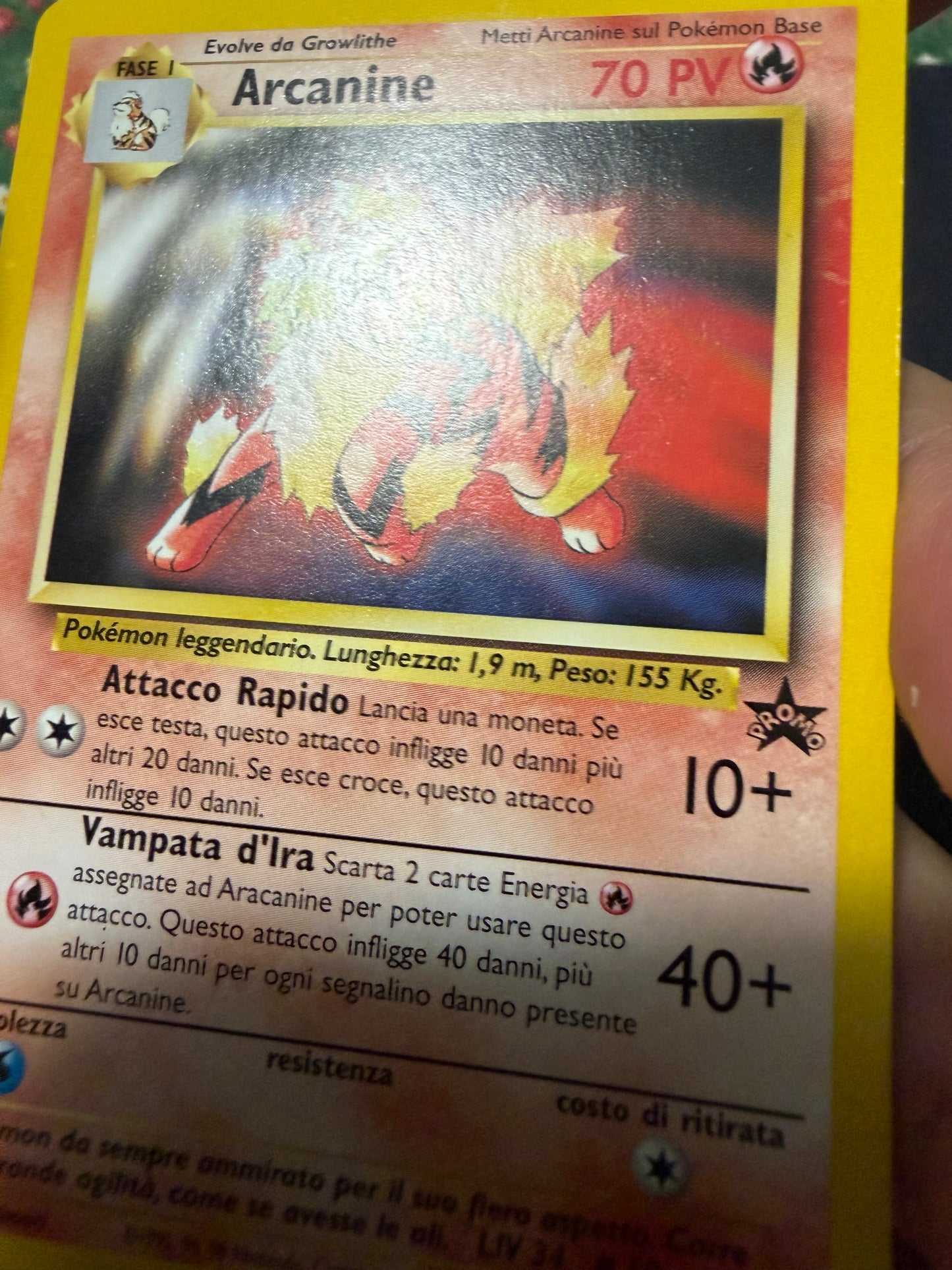 Arcanine 6