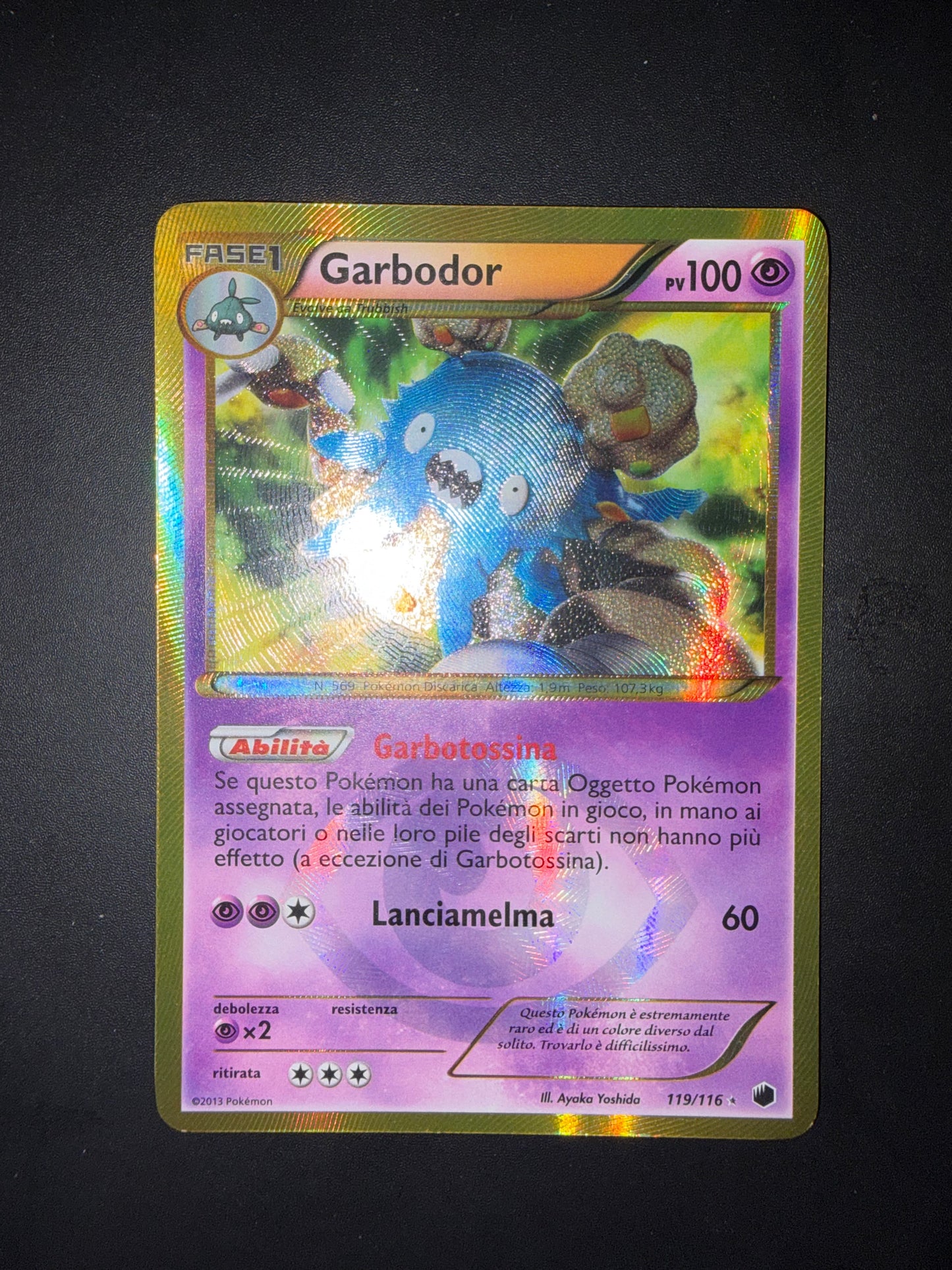 Garbodor 119/116