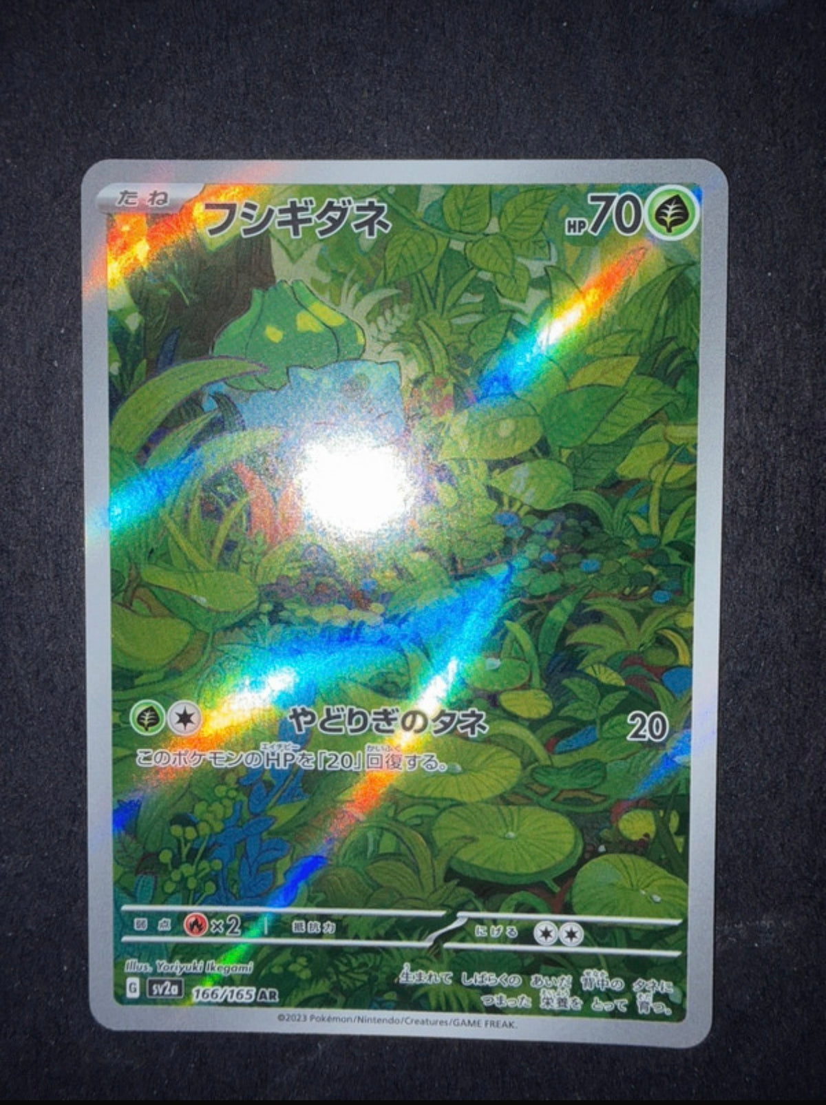 Bulbasaur e ivysaur 151