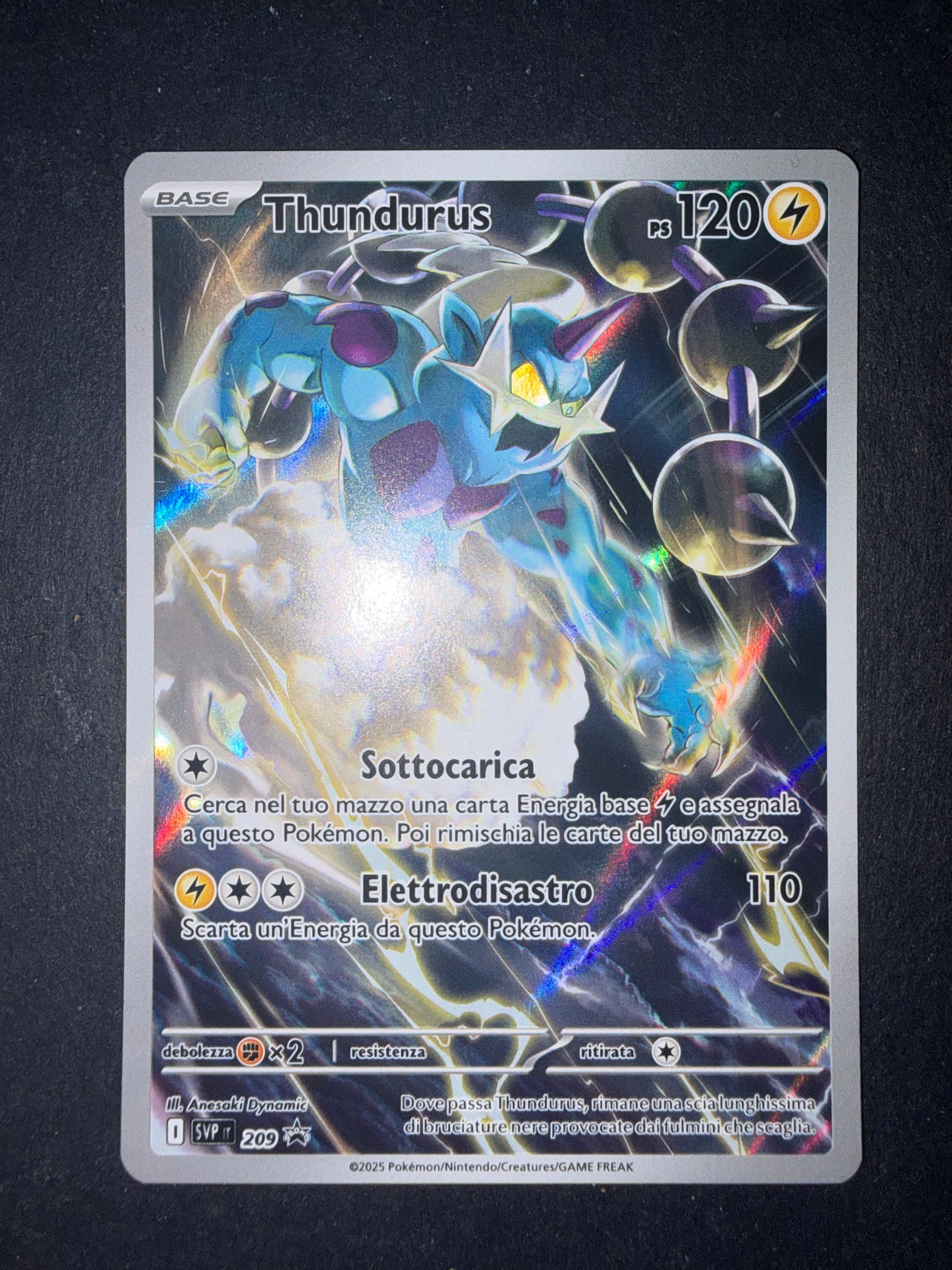 Thundurus 209