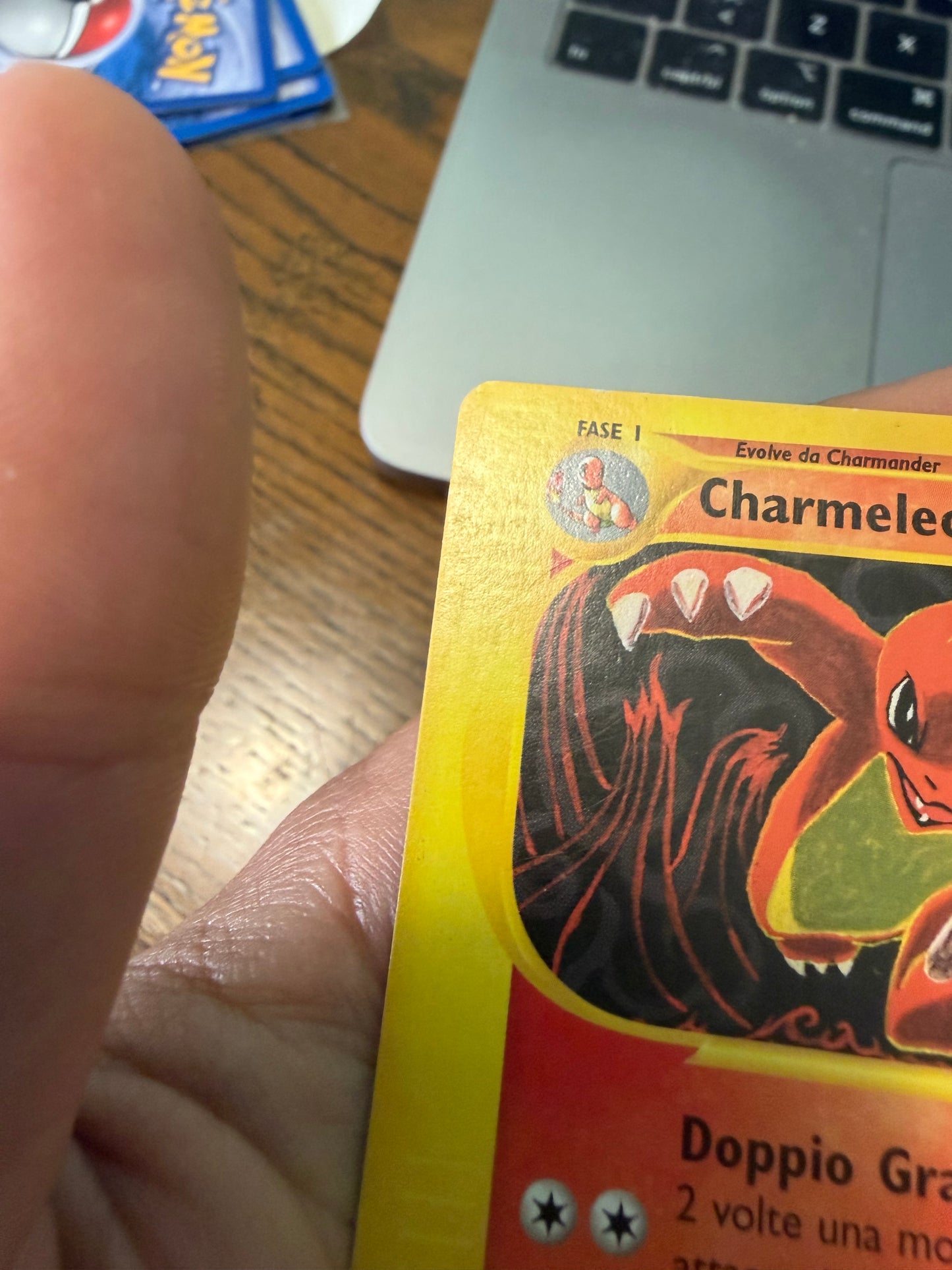 Charmeleon 73/165