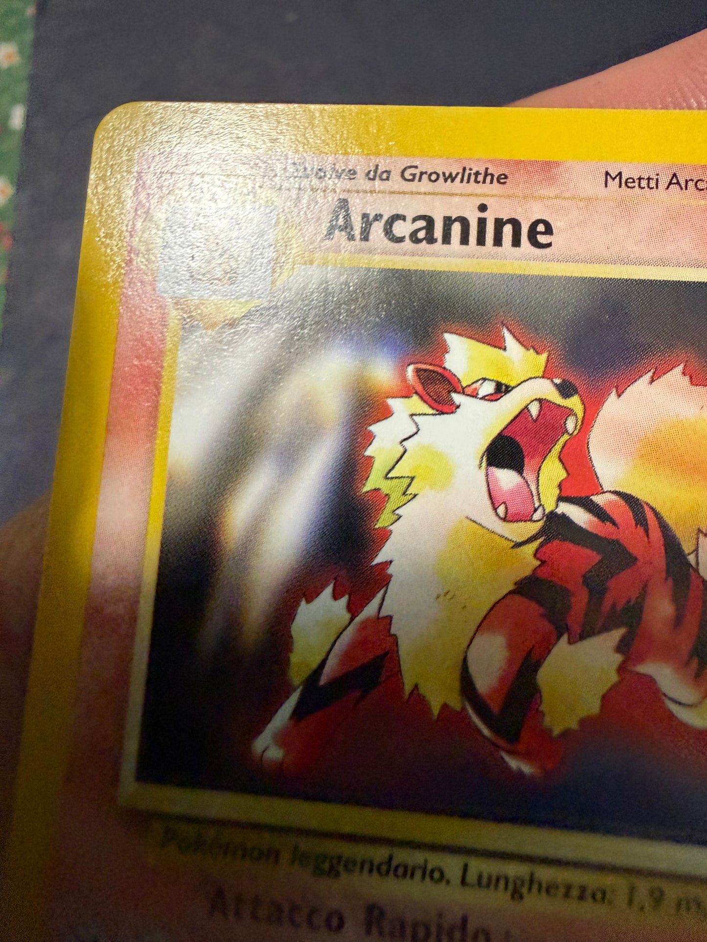 Arcanine 6