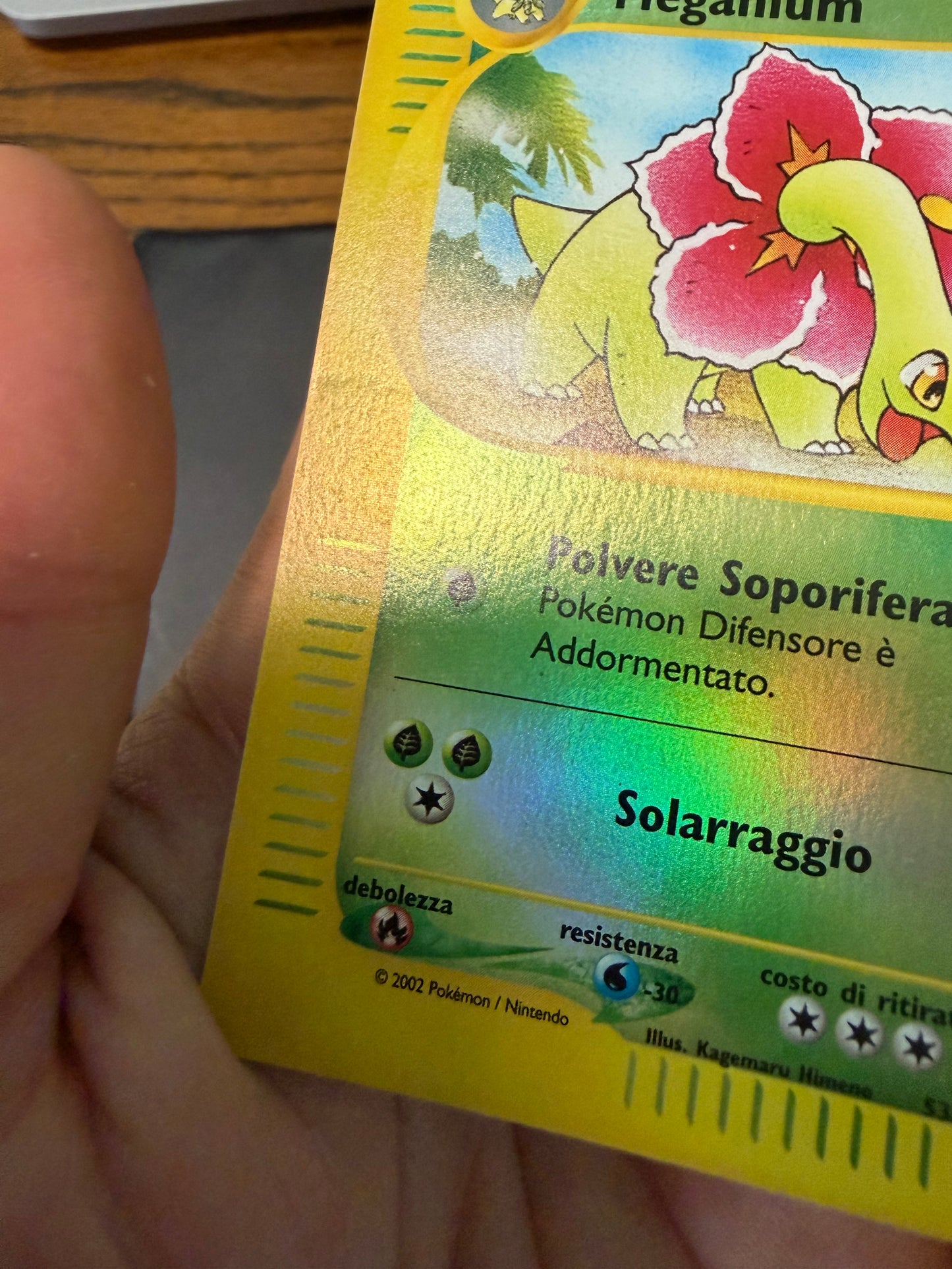 Meganium 53/165 reverse Holo