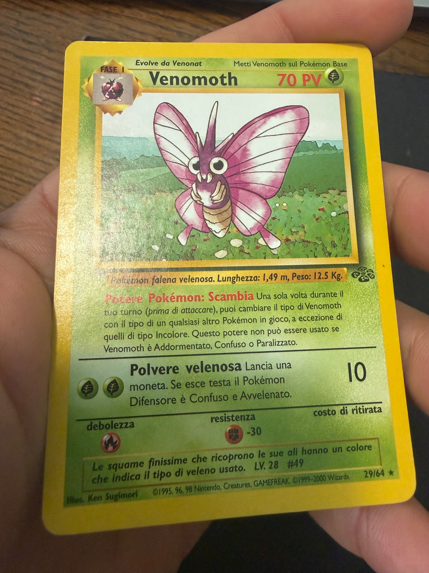 Venomoth (29/64)