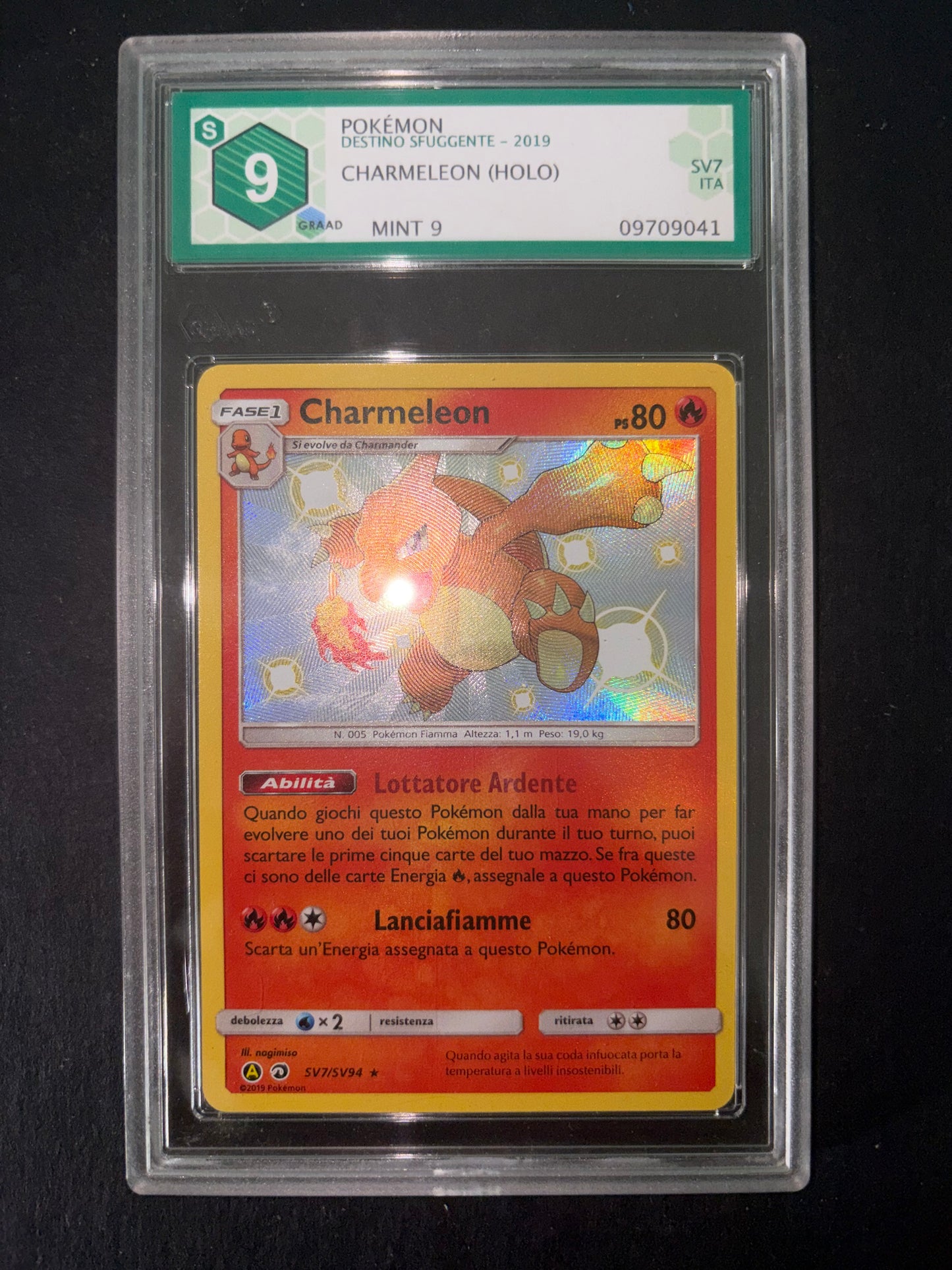 Charmeleon grad 9