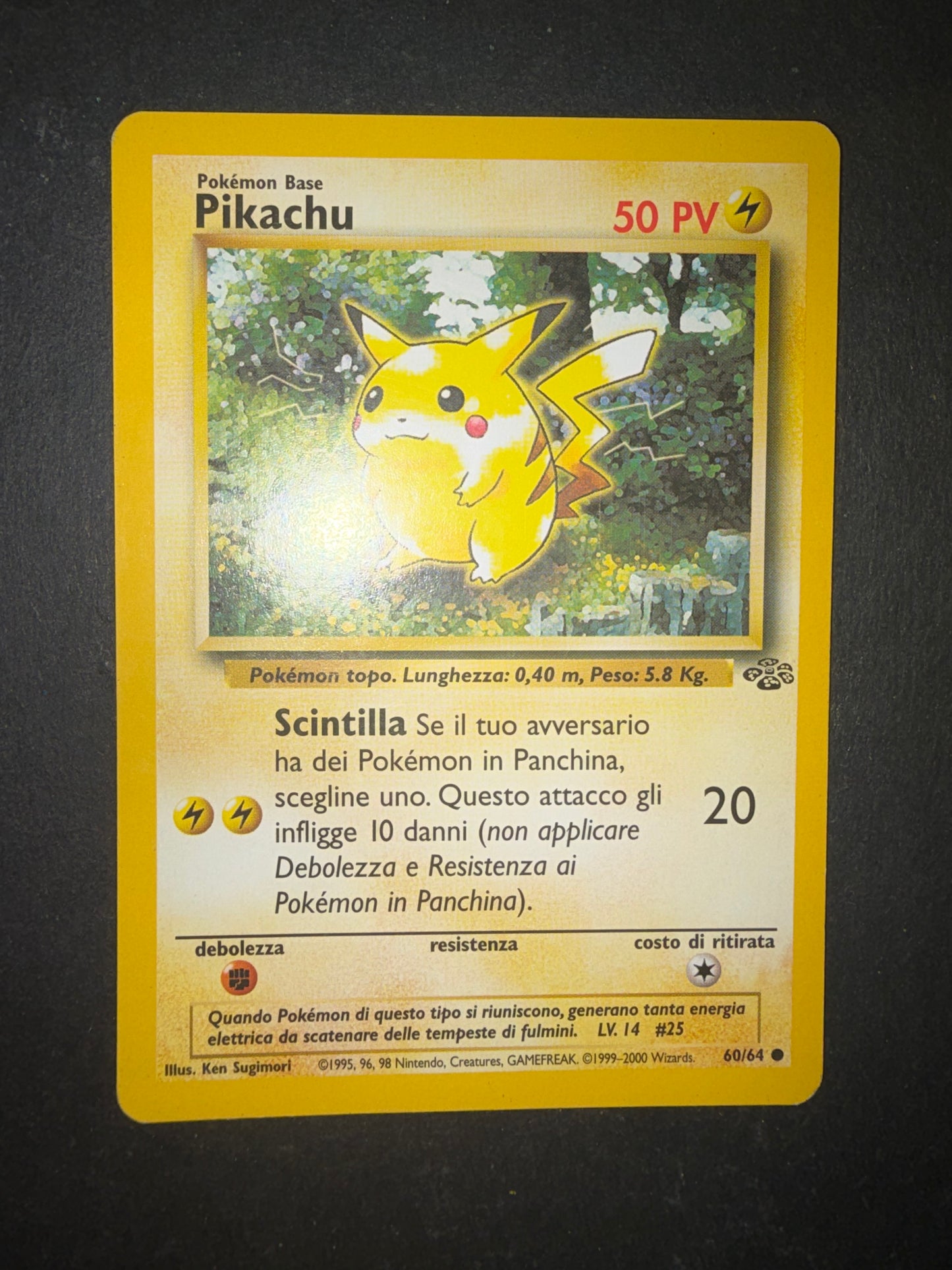 Pikachu(60/64)