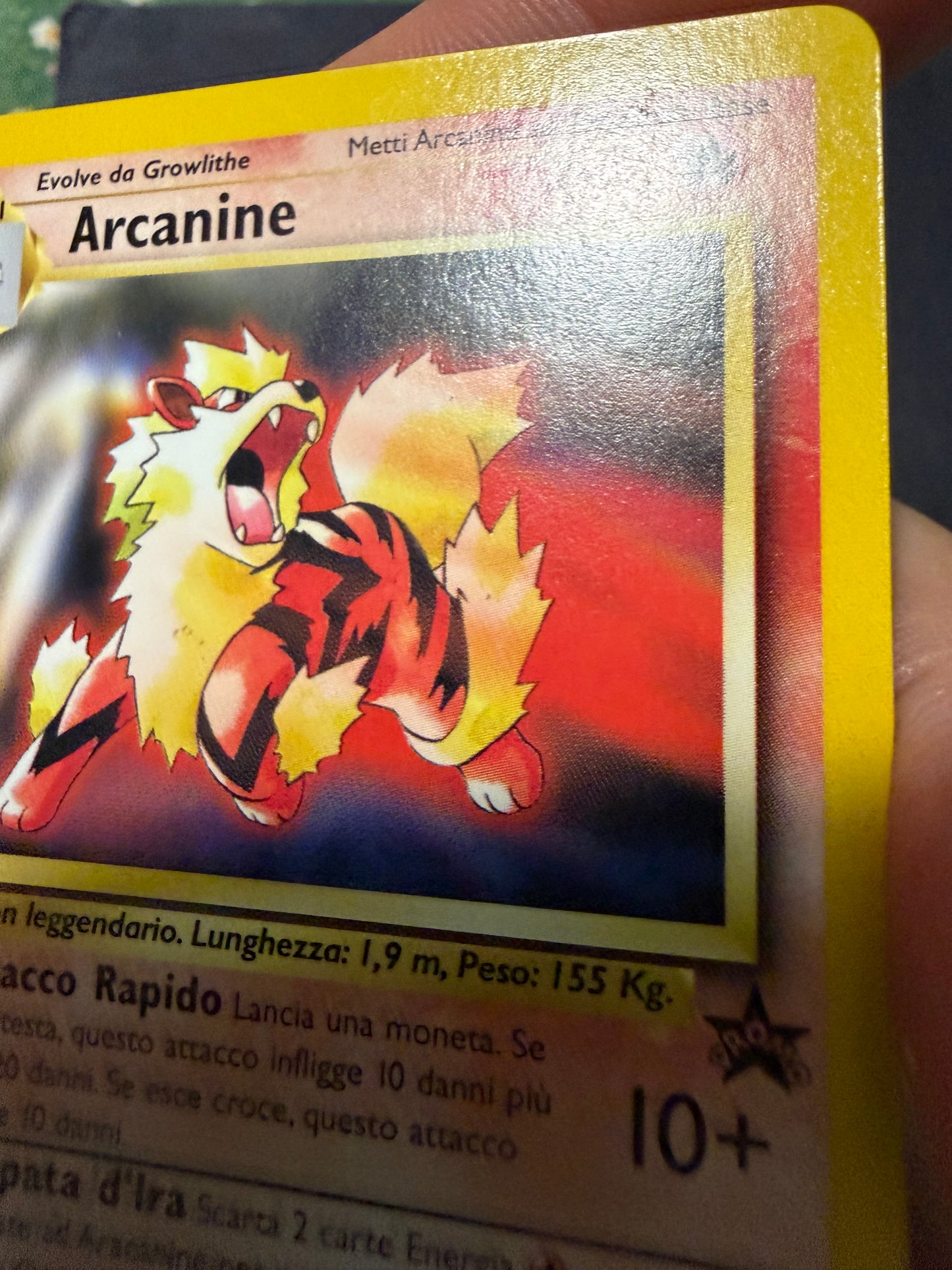 Arcanine 6