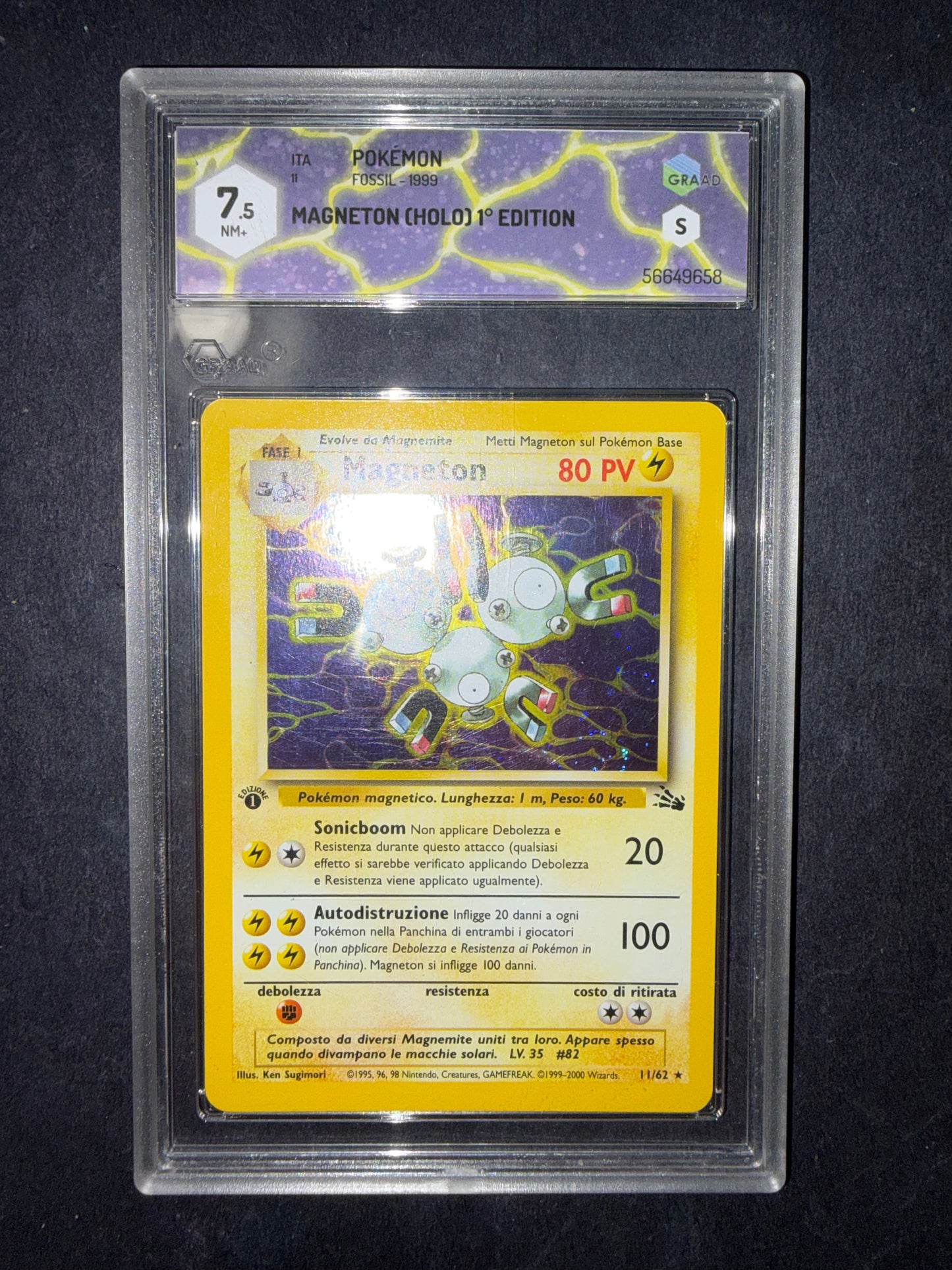 Magneton fossil 1 ed Grad 7,5