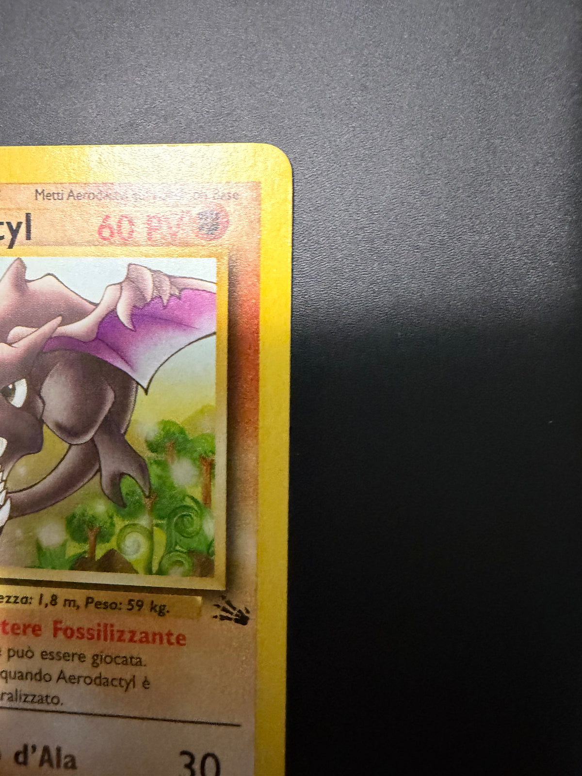 Aerodactyl 16/62 1º edizione