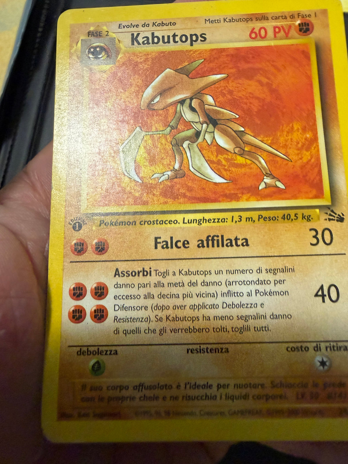 Kabutops 24/62 1º edizione