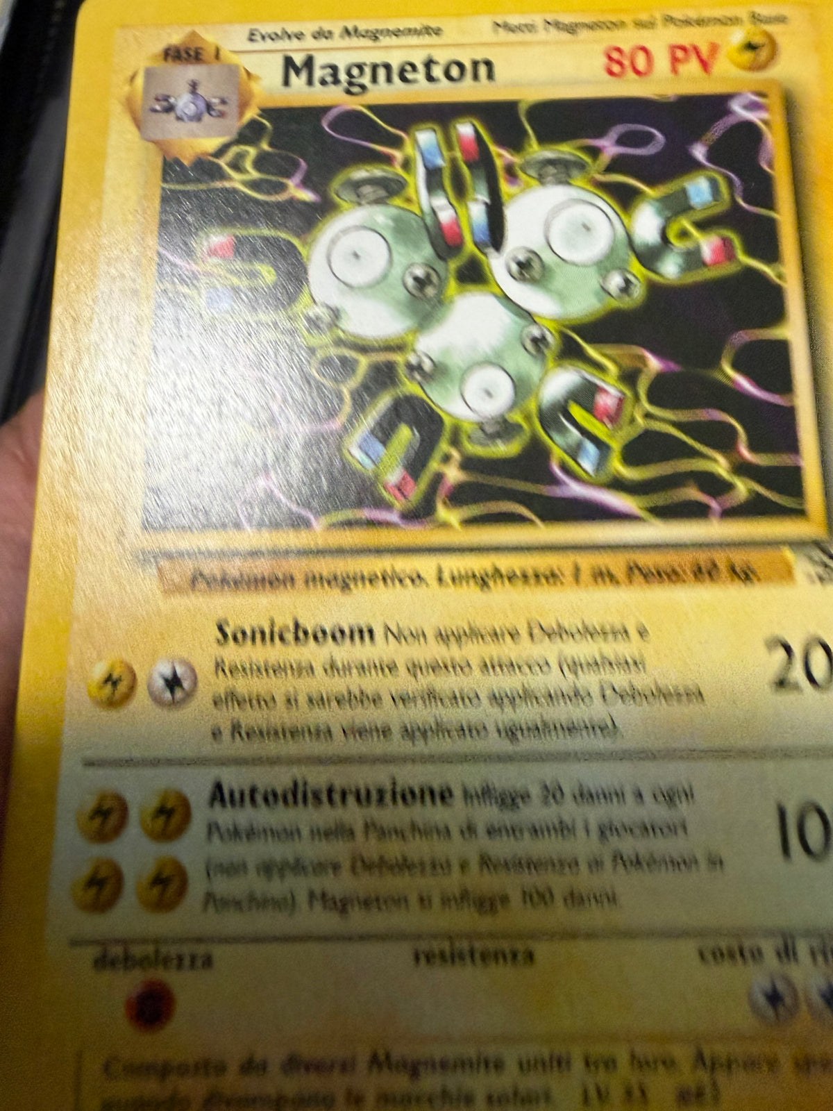 Magneton 26/62