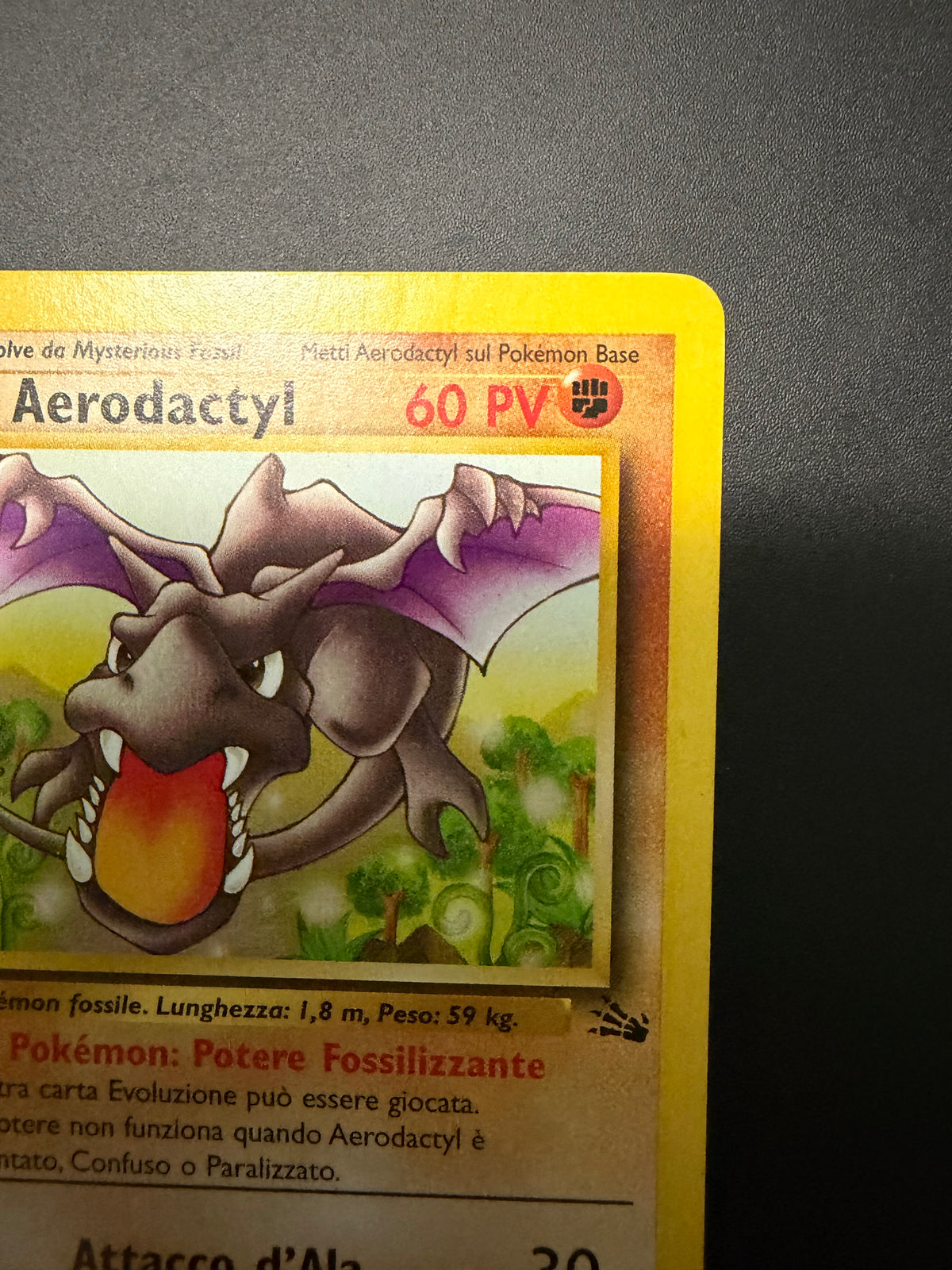 Aerodactyl 16/62 1º edizione